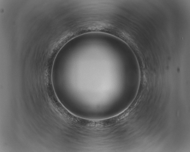 X0000056370354200508291407