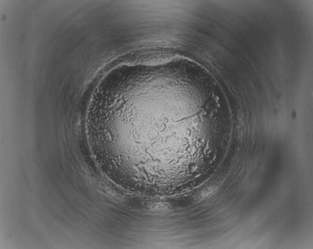 X0000056370355200508291407