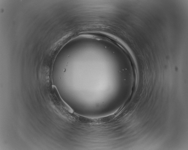 X0000056370356200508291407