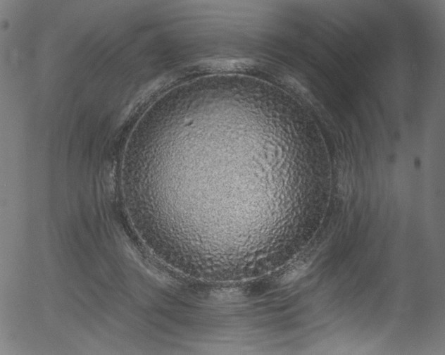 X0000056370357200508291407