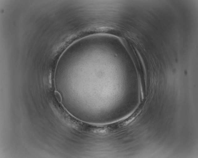 X0000056370358200508291407