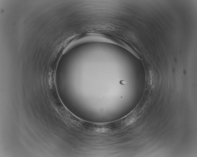 X0000056370360200508291407