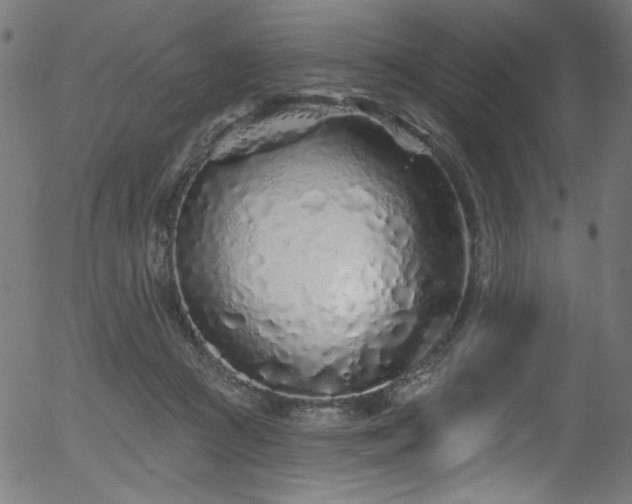 X0000056370361200508291407