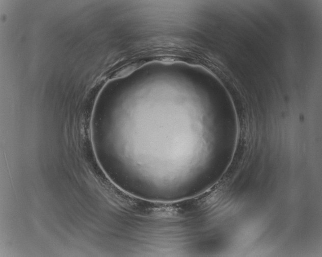 X0000056370363200508291407