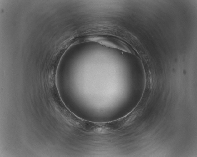 X0000056370364200508291407