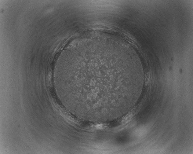 X0000056370365200508291407