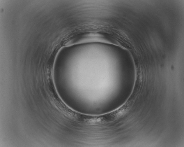 X0000056370366200508291407