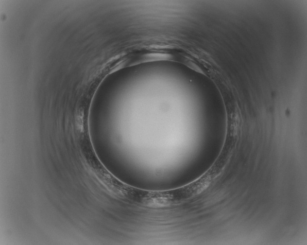 X0000056370368200508291407