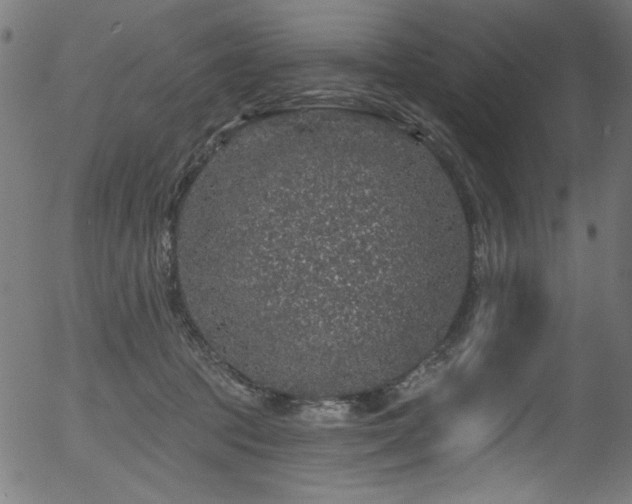 X0000056370369200508291407