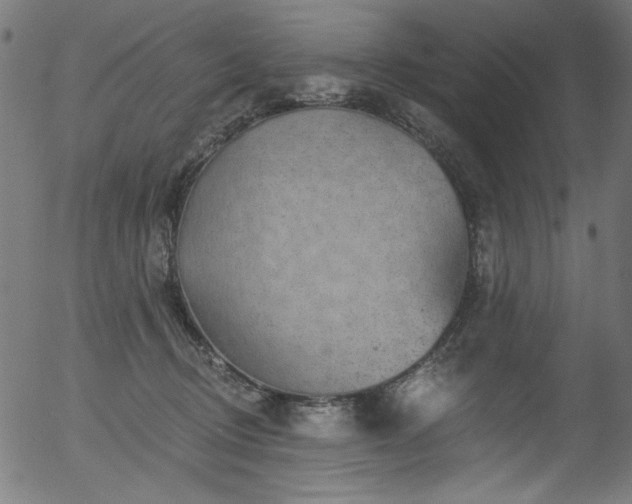 X0000056370370200508291407