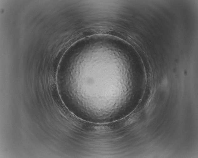 X0000056370371200508291407