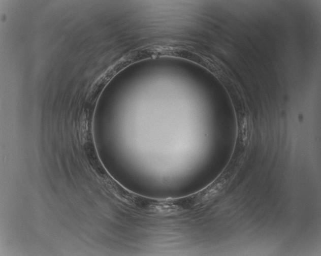 X0000056370372200508291407