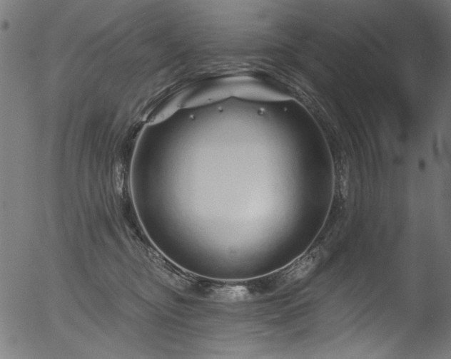 X0000056370374200508291407