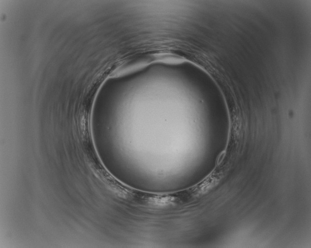 X0000056370375200508291407