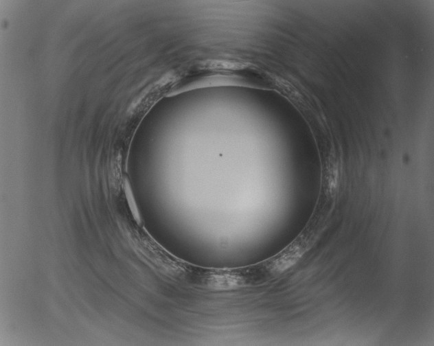 X0000056370376200508291407