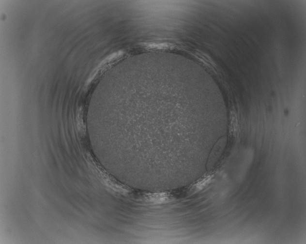 X0000056370377200508291407