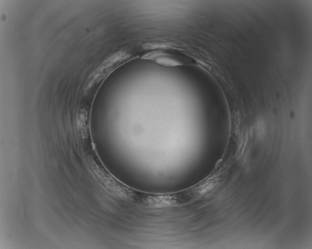 X0000056370378200508291407