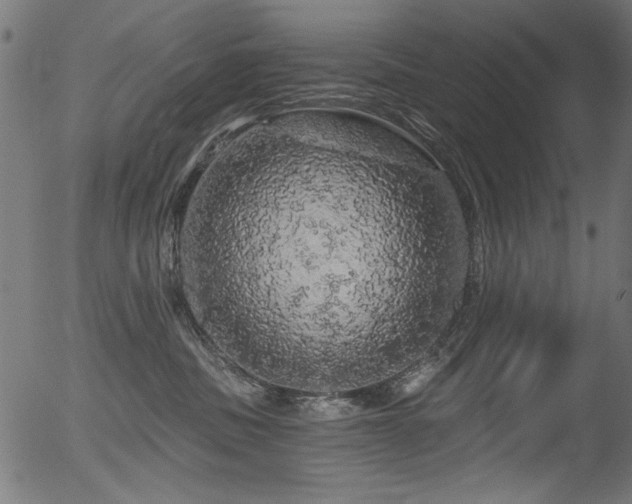 X0000056370379200508291407