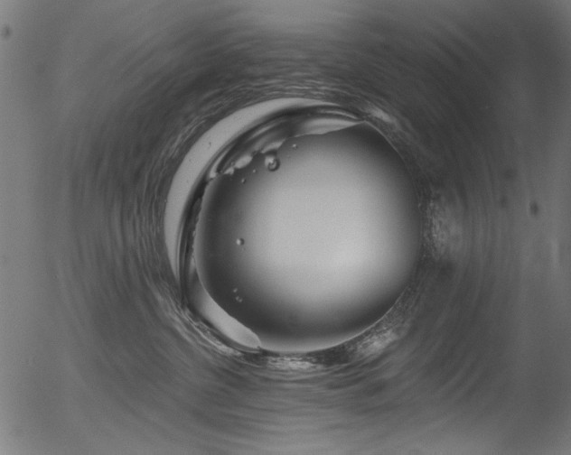 X0000056370380200508291407