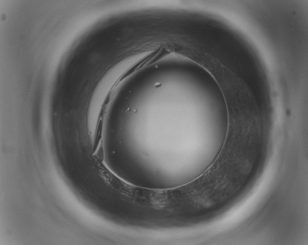 X0000056370382200508291407