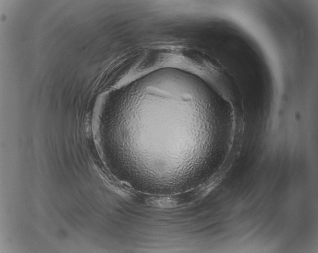 X0000056370383200508291407