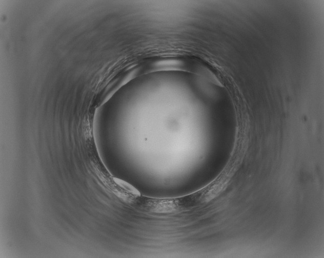 X0000056370384200508291407