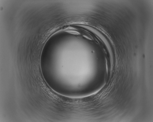 X0000056370385200508291406