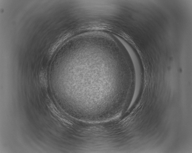 X0000056370386200508291406