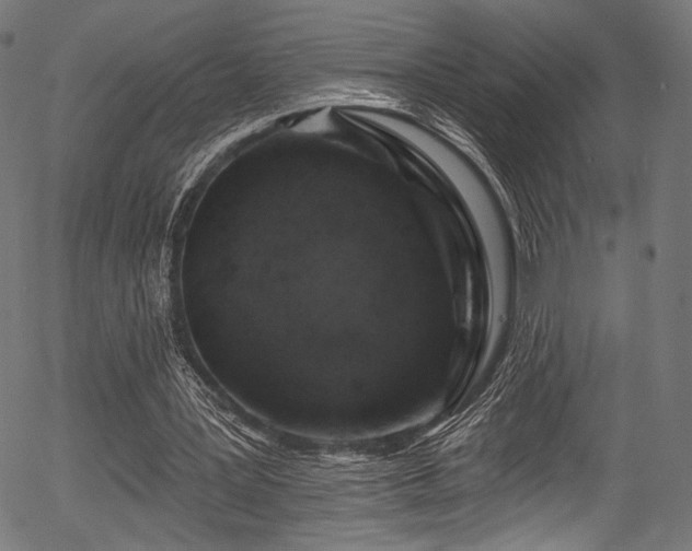 X0000056370387200508291406