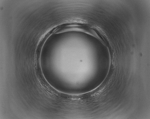 X0000056370388200508291406