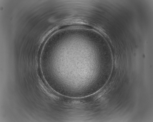 X0000056370390200508291406