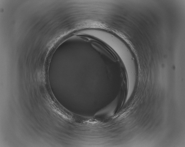 X0000056370391200508291406