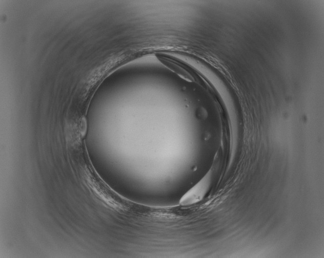 X0000056370393200508291406