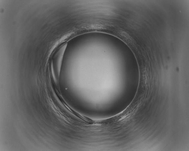 X0000056370395200508291406