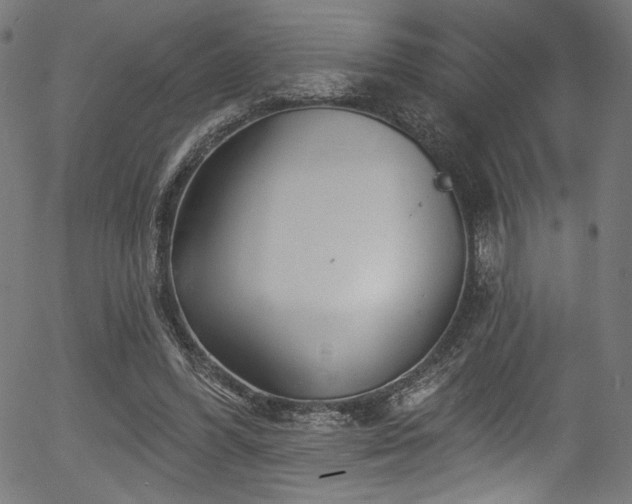 X0000056370396200508291406