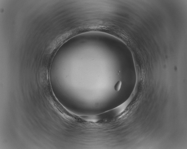 X0000056370397200508291406