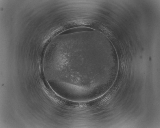 X0000056370398200508291406