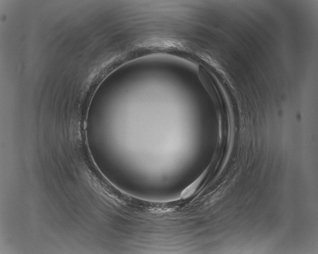 X0000056370399200508291406