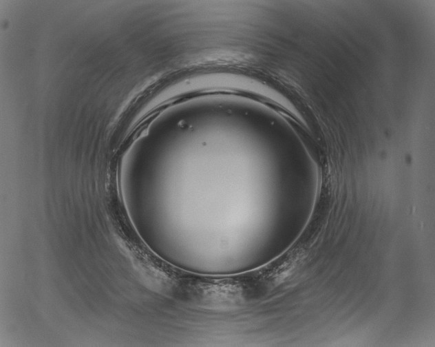 X0000056370400200508291406