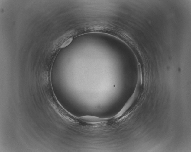 X0000056370401200508291406