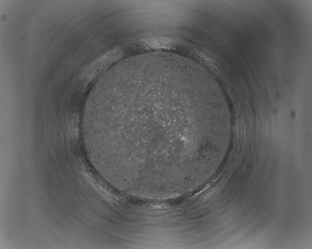 X0000056370402200508291406