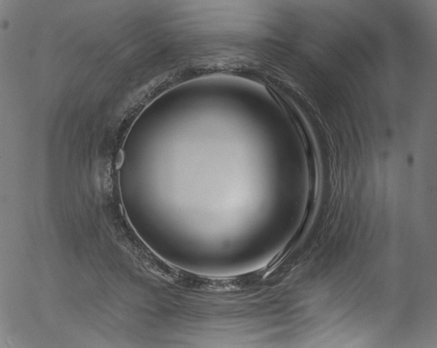 X0000056370403200508291406