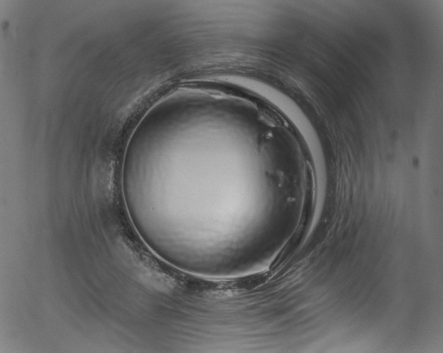 X0000056370404200508291406