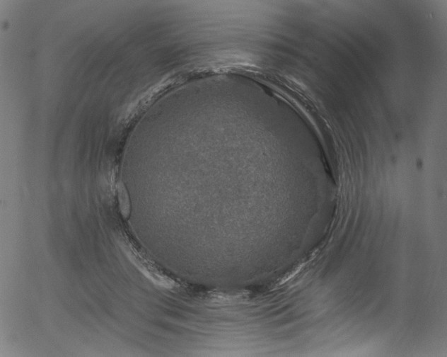 X0000056370405200508291406