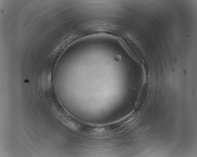 X0000056370406200508291406