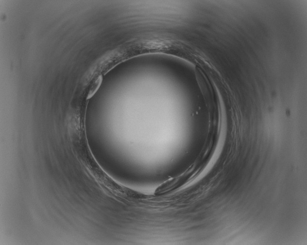 X0000056370407200508291406