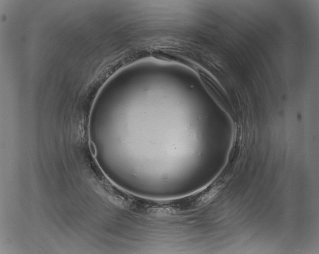 X0000056370408200508291406