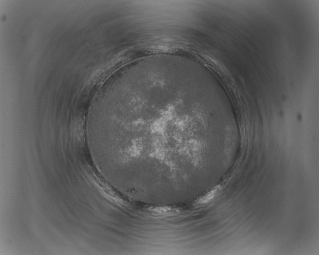 X0000056370409200508291406