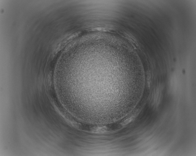 X0000056370410200508291406