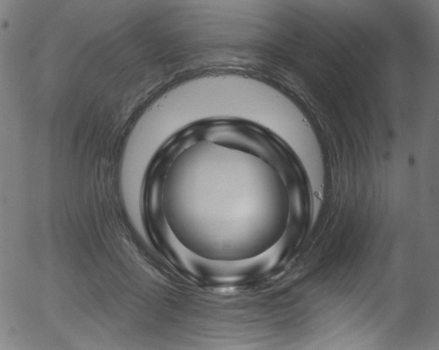 X0000056370411200508291406